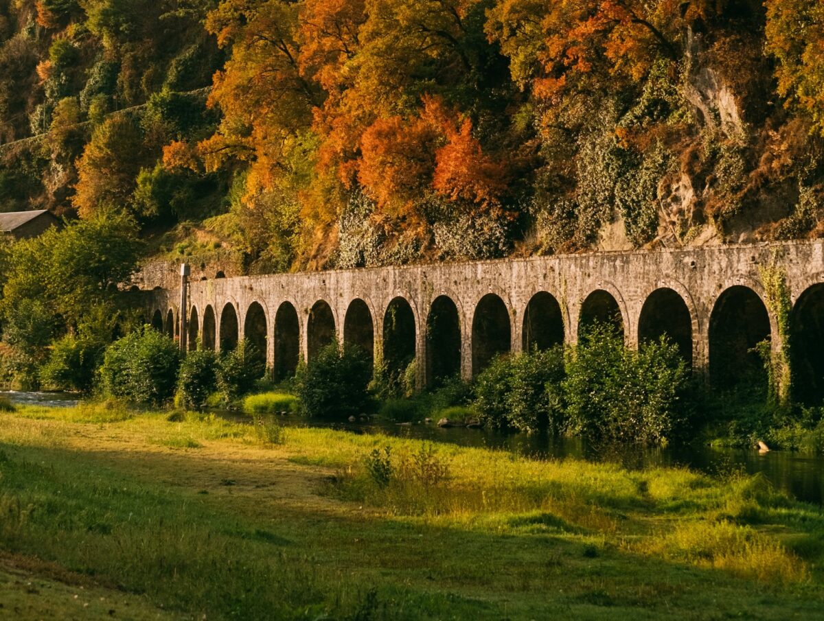 old structure in nature